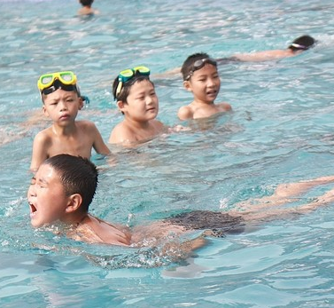 天磊游泳培训班