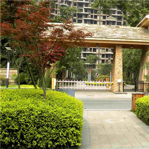上海众原房产环境