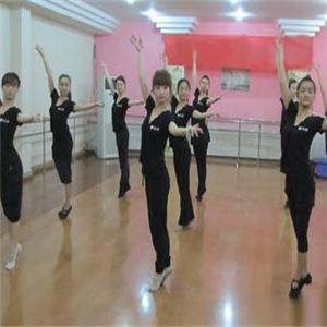 红菱舞蹈艺术训练