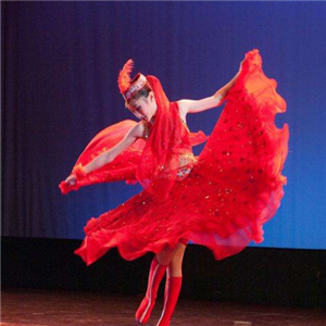红菱舞蹈艺术加盟