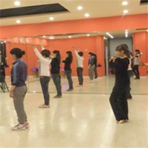 dm-dance舞蹈教育