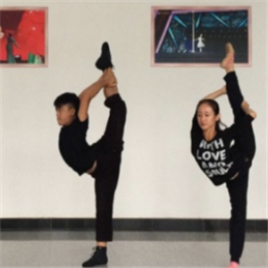 dm-dance舞蹈教育练习