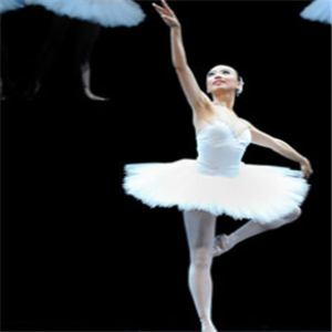 伊娃国际舞蹈培训芭蕾舞