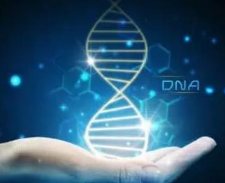水姆基因检测DNA 