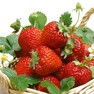呈祥果业草莓