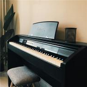 亚运村钢琴培训专业