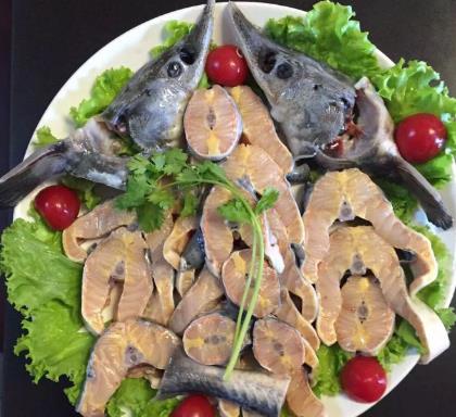 石锅焖鱼鱼块