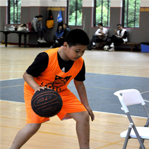 拉维尔青少年篮球培训