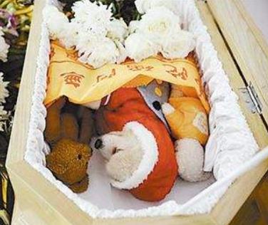 宠物殡葬柜