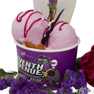 巴顿冰淇淋机蓝莓冰淇淋