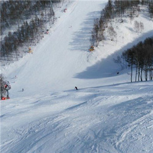 雪世界滑雪场展示