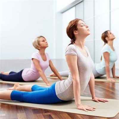 百草芳香国际有助于调节体脂瑜伽