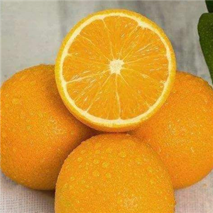 果果鲜生橙子
