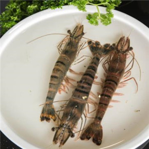 宴尚海虾