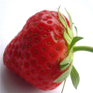 菜仓生鲜草莓