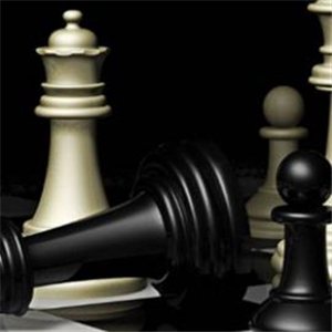 白果树国际象棋俱乐部品牌