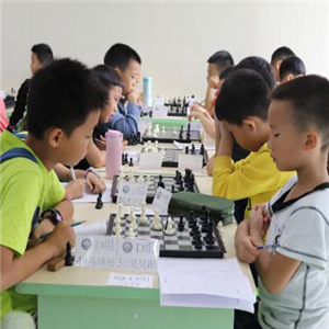 新蕾国际象棋俱乐部学习