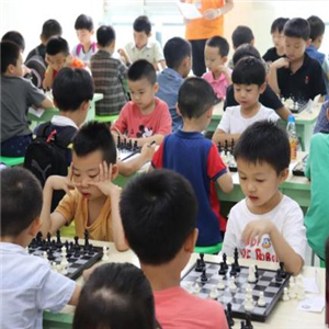 新蕾国际象棋俱乐部培训