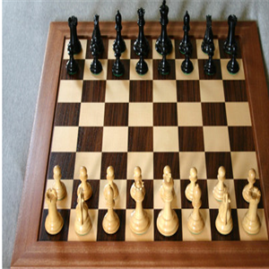 羽弈国际象棋俱乐部棋盘