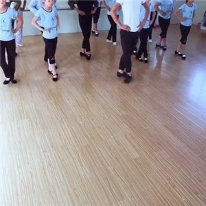 北京市爱莲舞蹈学校练习
