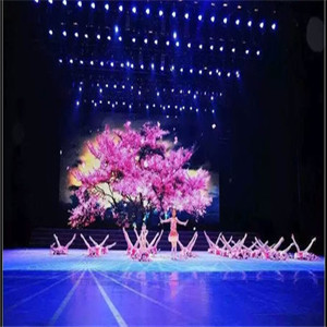 北京市爱莲舞蹈学校演出