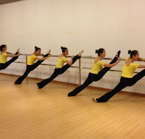 领舞文化艺术培训中心
