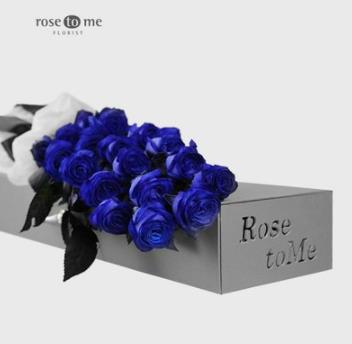 rosetome蓝玫瑰
