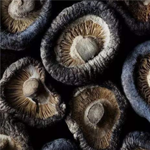 黑色食品香菇