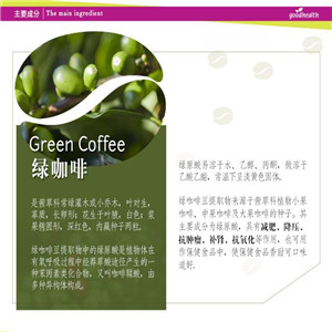 绿咖啡有助于调节体脂