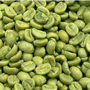 绿咖啡有助于调节体脂