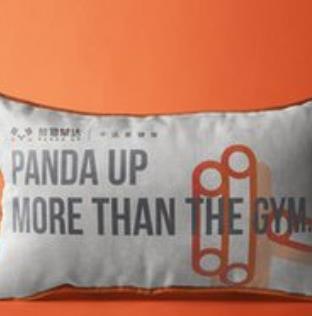 熊猫攀达健身枕头