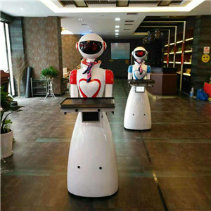 智能服务机器人服务