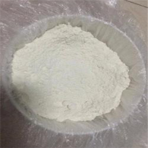 膨化大米粉模型