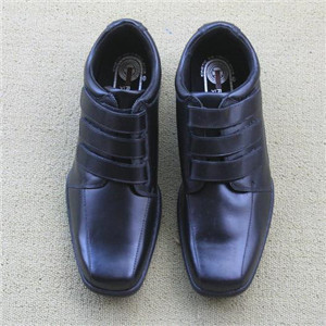  Shengjiabu men's shoes brand 