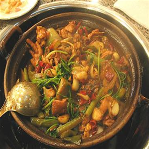 朱桂华鸡煲王石锅鱼猪肚鸡