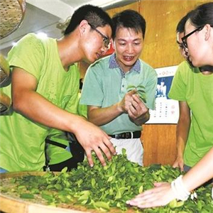 安溪茶业技术培训招牌