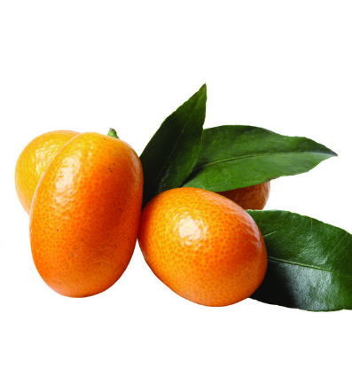 鲜鲜鲜果业橘子