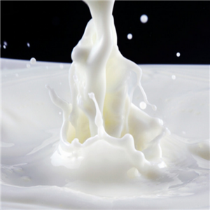 天润浓缩纯牛奶品质
