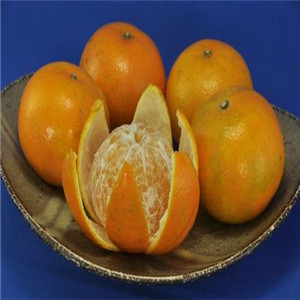 富果佳橘子