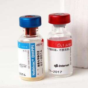 四联疫苗