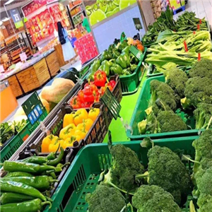 康蔬园生鲜超市蔬菜