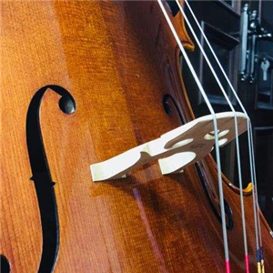 丁健提琴提琴制作维修提琴培训管弦