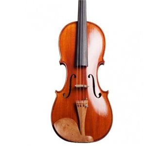 PlayPro谱蕾谱乐音乐艺术中心小提琴