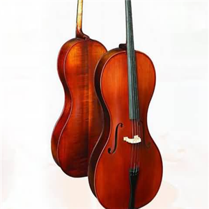 PlayPro谱蕾谱乐音乐艺术中心大提琴