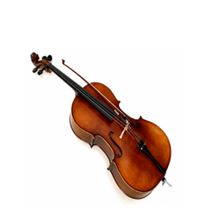 书音艺术学校小提琴