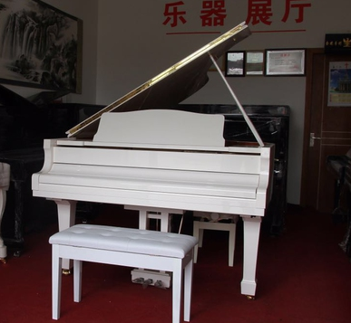 蒙悦钢琴艺术中心