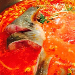 箩箩贵州酸汤鱼鱼肉