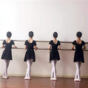 芭蕾世纪训练
