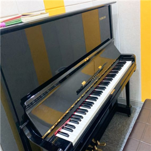 Fan梵音艺术中心钢琴