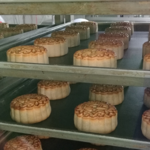 珠江饼业